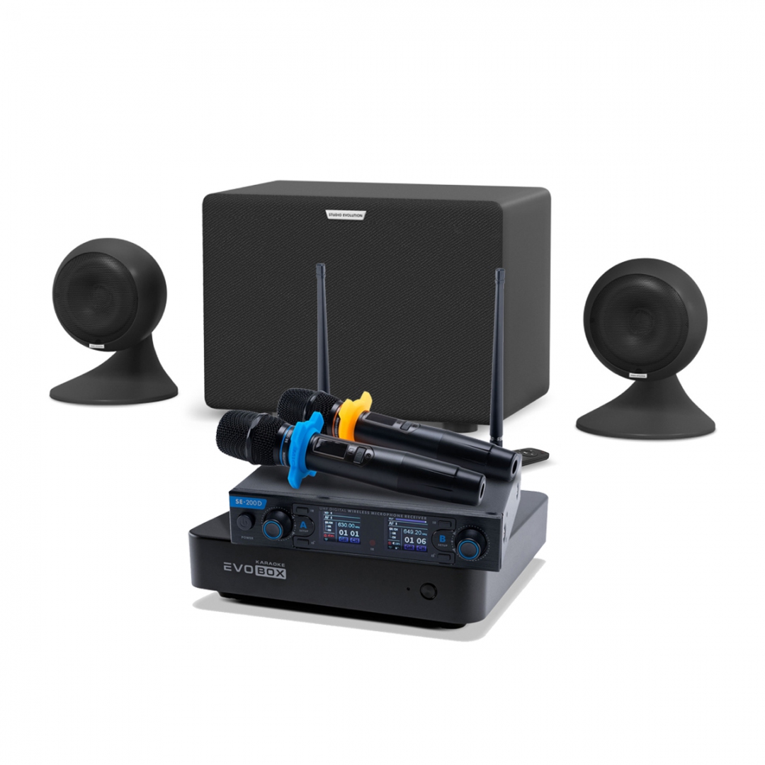 караоке-комплект EVOBOX + EvoSound Sphere 2.1 в Лысково