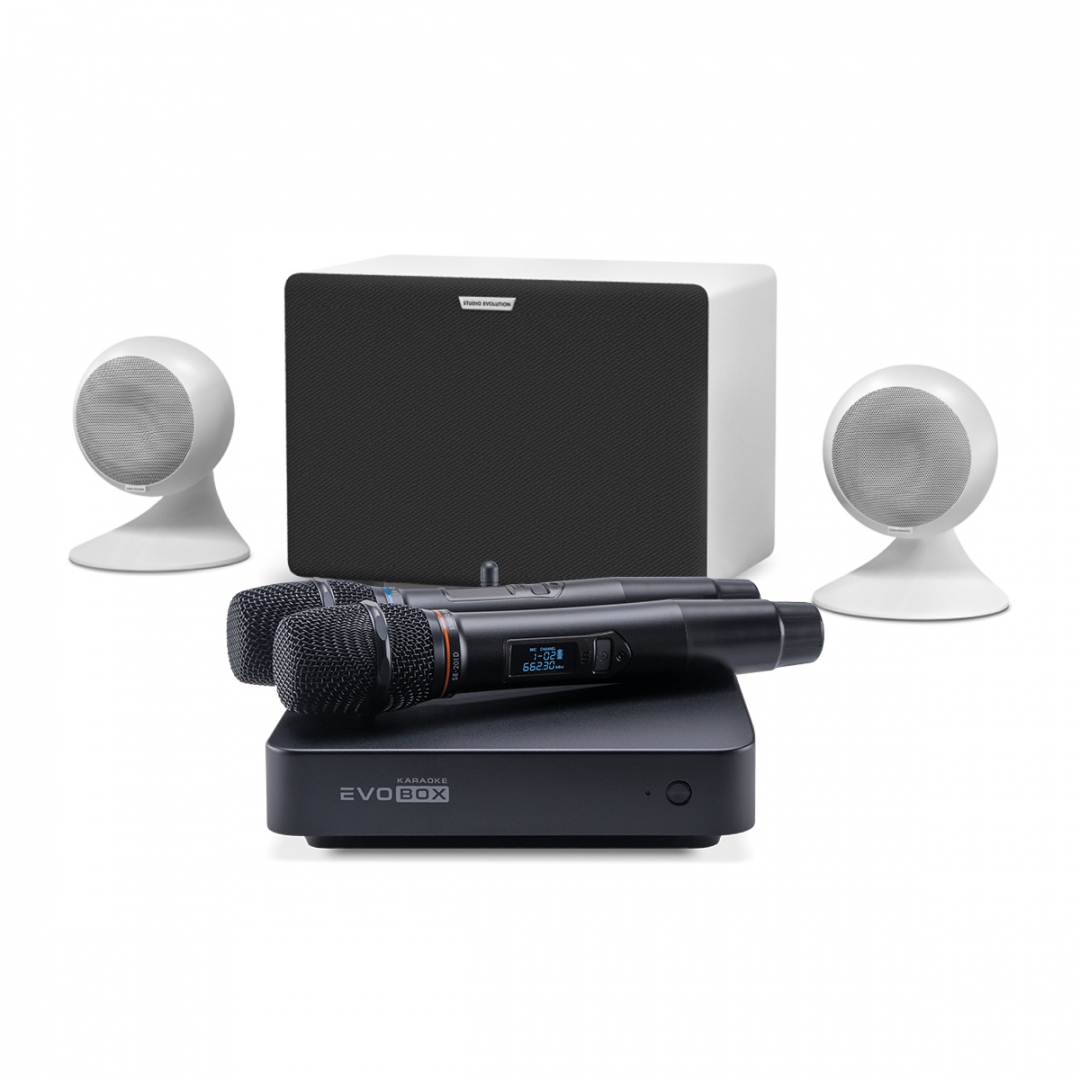 караоке-комплект EVOBOX Classic + EvoSound Sphere 2.1 в Лысково
