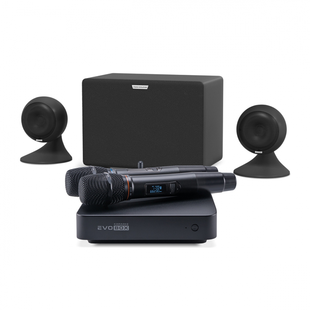 караоке-комплект EVOBOX Plus + EvoSound Sphere 2.1 в Лысково