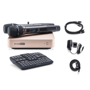 EVOBOX Classic караоке-система для дома в Лысково