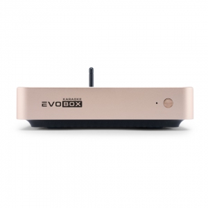 EVOBOX Plus караоке-система для дома в Лысково