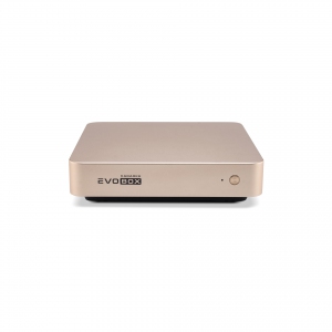 EVOBOX с микрофонами в Лысково